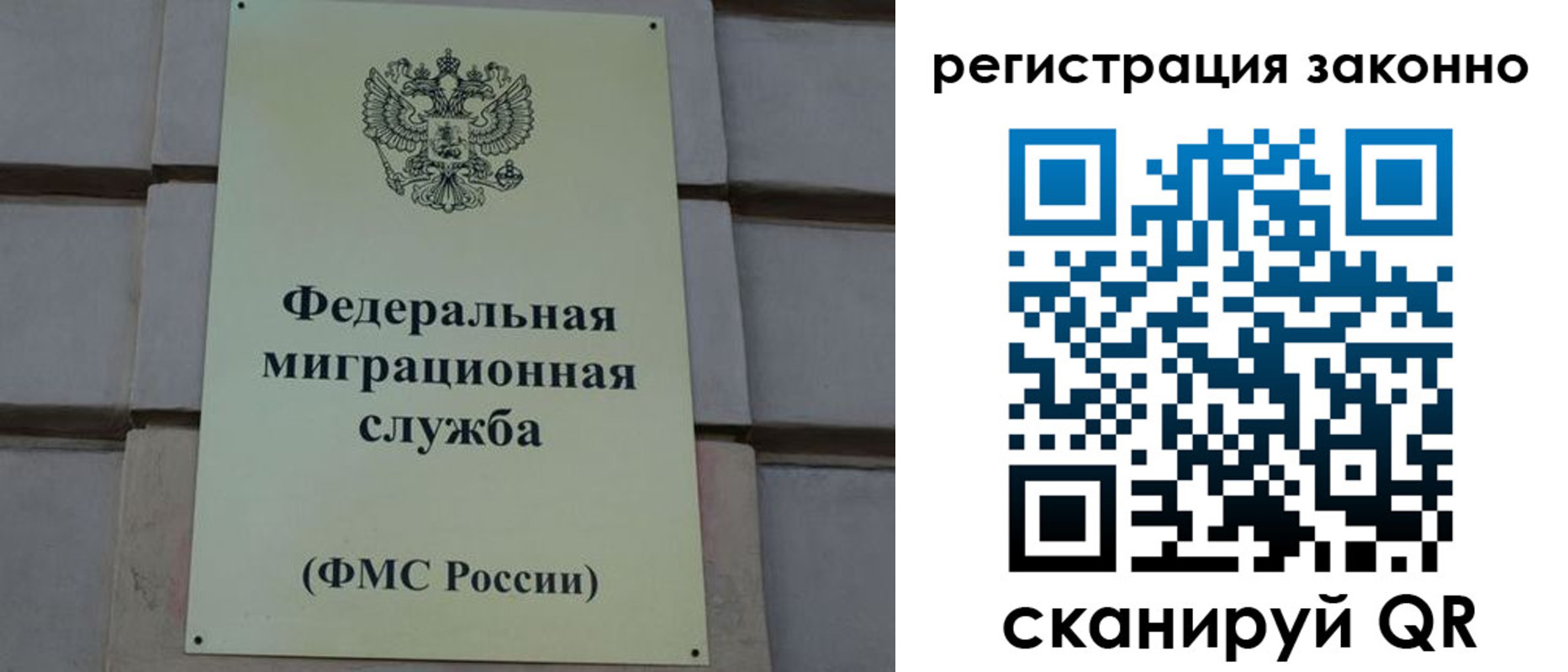 прописка гарантия в Палласовке